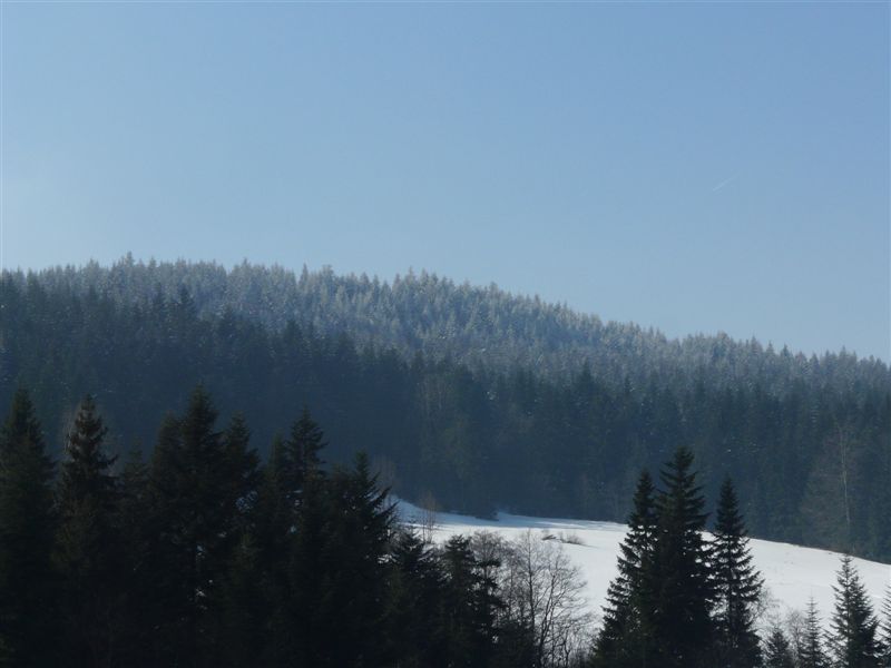 Sidzina 084